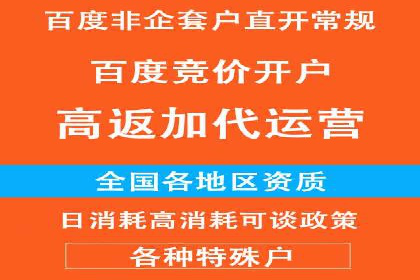 某SEM主管的跨平台广告投放策略与成果